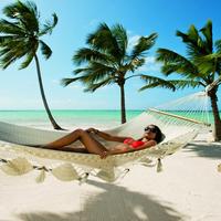 Отзыв от Анна - DTV виза